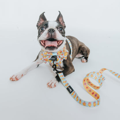 Dog Two Piece Bundle - Good Duck, Babe!