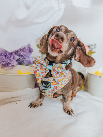 Dog Two Piece Bundle - Good Duck, Babe!