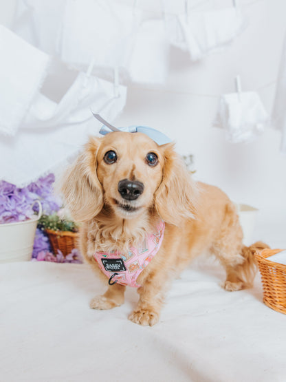 Dog Sailor Bow - Out of Office