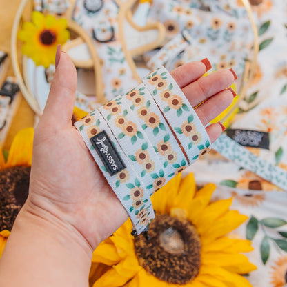 Dog Collar Three Piece Bundle - Sunflower Dreams