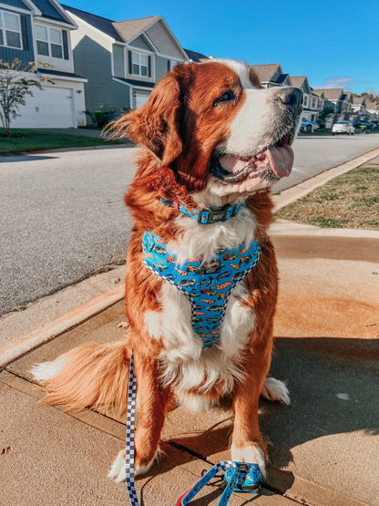 Dog Two Piece Bundle - Hot Wheels™