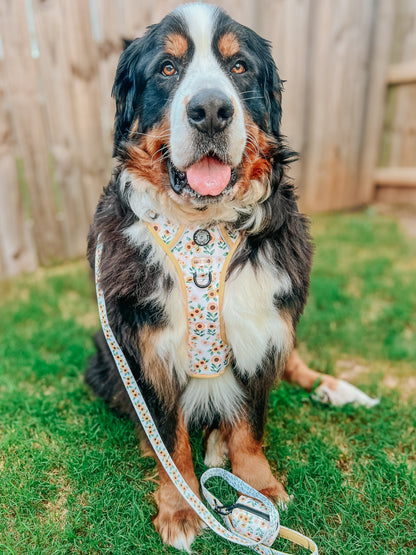 Dog Two Piece Bundle - Sunflower Dreams