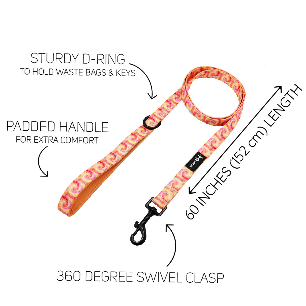 Dog Two Piece Bundle - Summer Sorbet