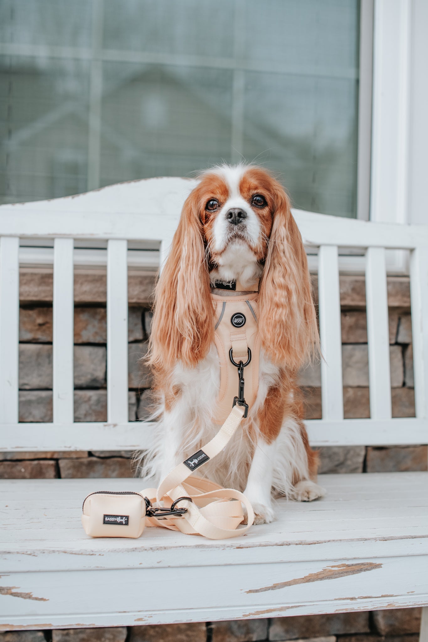 Dog Waste Bag Holder - Daffodil