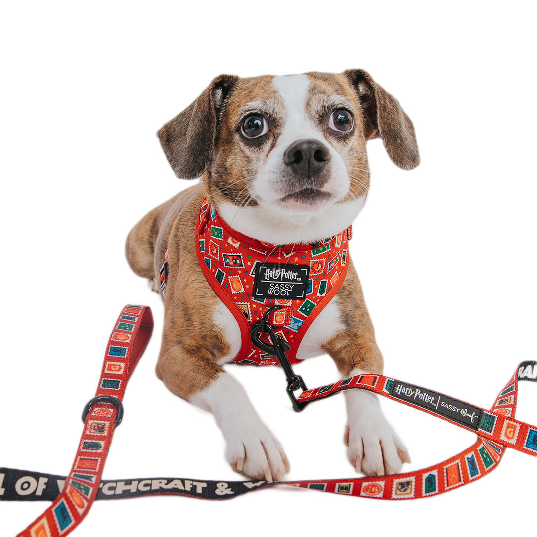 Dog Two Piece Bundle - Harry Potter™ Stamps