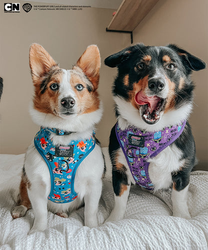 Dog Adjustable Harness - Mojo Jojo™