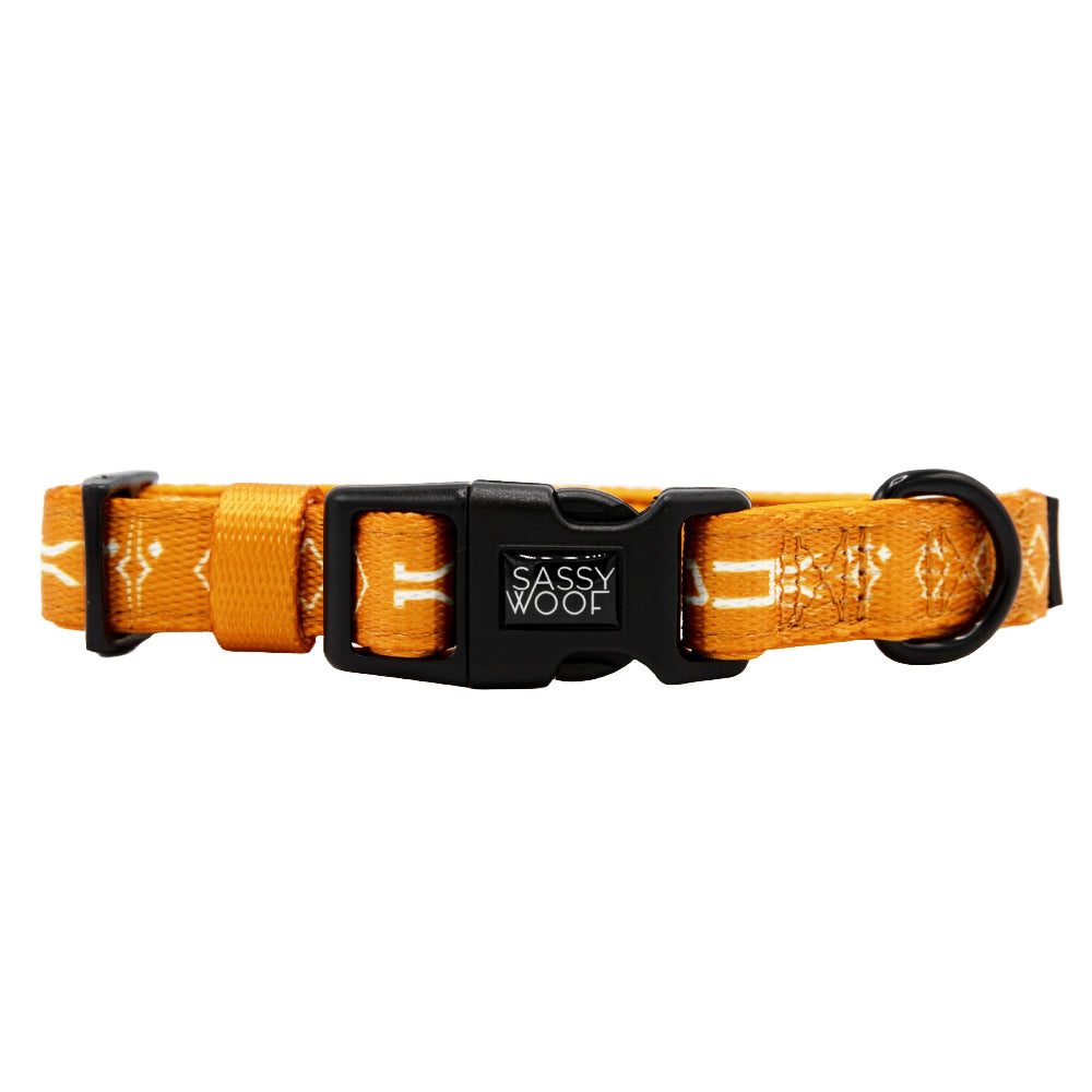Dog Collar - STAR WARS™ Ahsoka