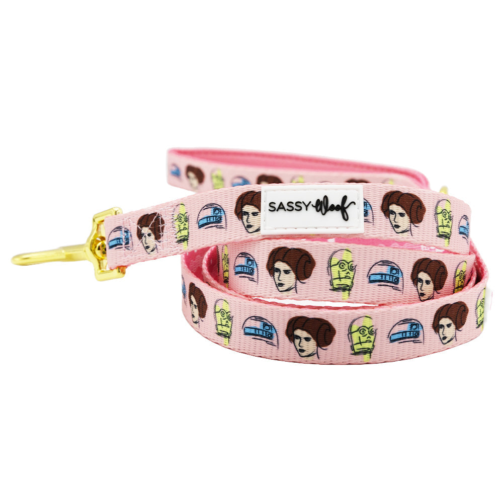 Dog Four Piece Bundle - STAR WARS™ Princess Leia