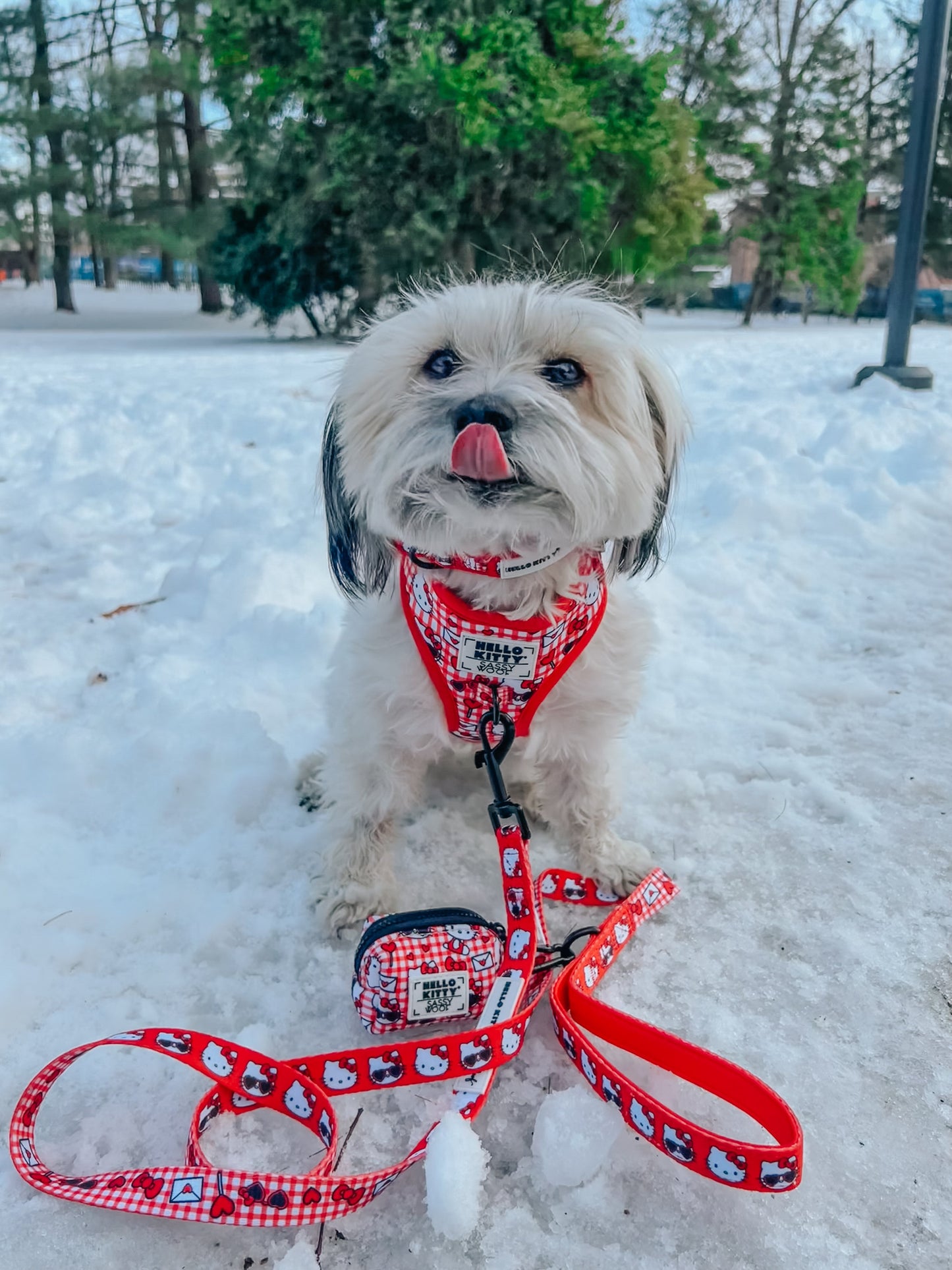 Dog Leash - Hello Kitty® Red Classic