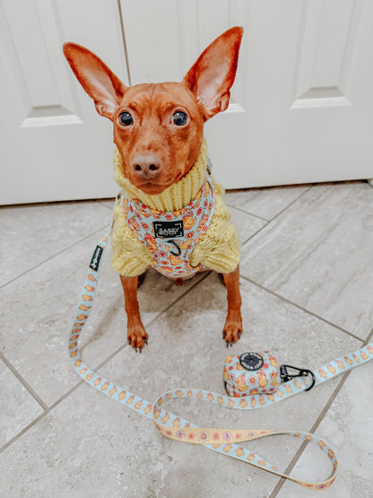 Dog Two Piece Bundle - Good Duck, Babe!