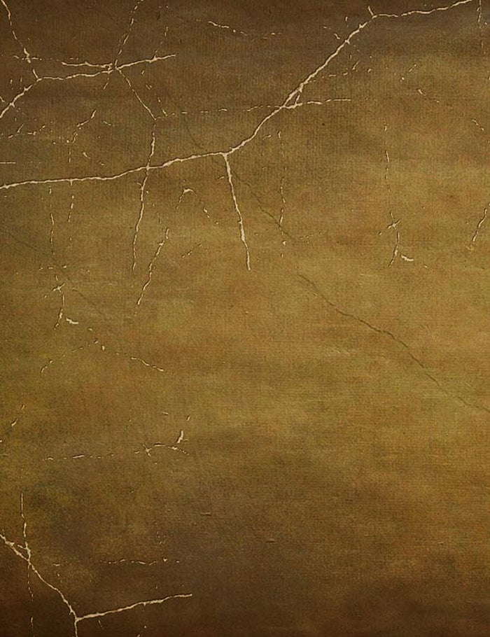 Abstract Brown With Spider Web For Halloween Photography Backdrop J-0718 Shopbackdrop