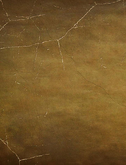 Abstract Brown With Spider Web For Halloween Photography Backdrop J-0718 Shopbackdrop