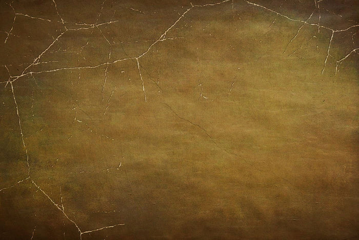 Abstract Brown With Spider Web For Halloween Photography Backdrop J-0718 Shopbackdrop