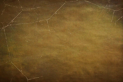 Abstract Brown With Spider Web For Halloween Photography Backdrop J-0718 Shopbackdrop