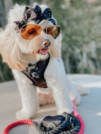 Dog Four Piece Bundle - Baby Got Black