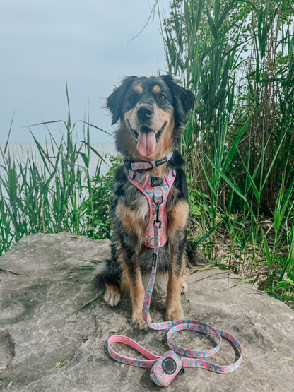 Dog Two Piece Bundle - Good Vibes