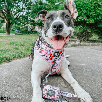 Dog Waste Bag Holder - Harley Quinn™