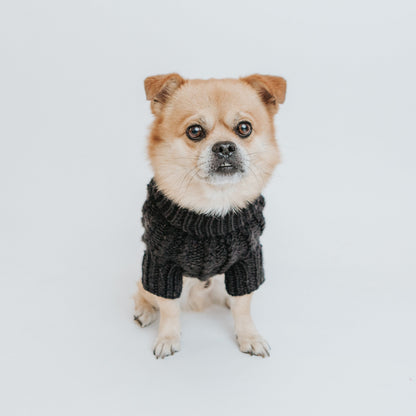 Pet Cable Knit Sweater - Black