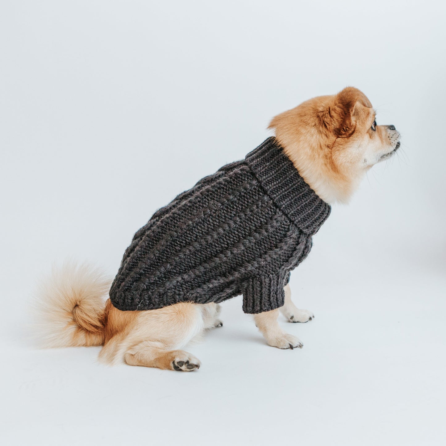 Pet Cable Knit Sweater - Black