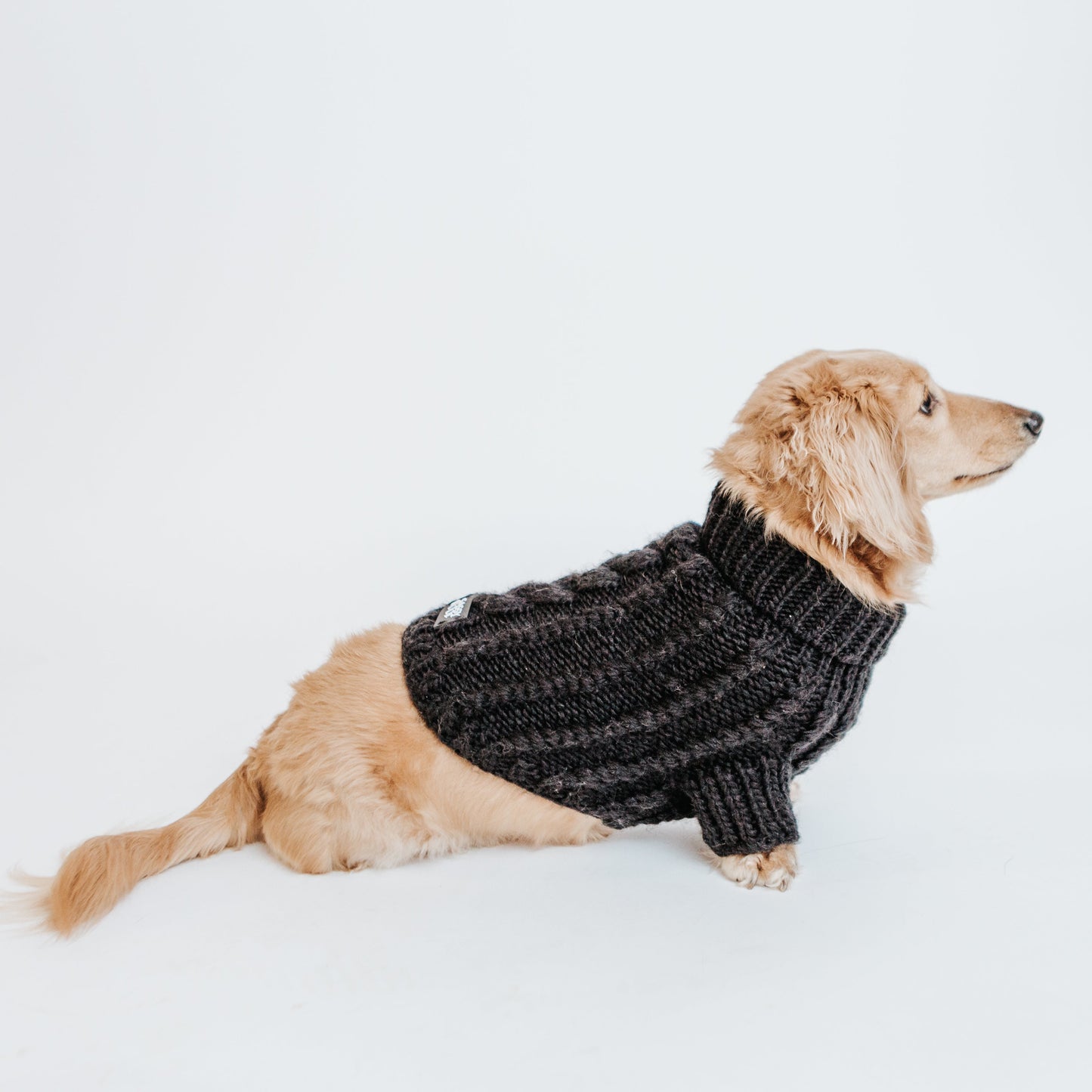 Pet Cable Knit Sweater - Black