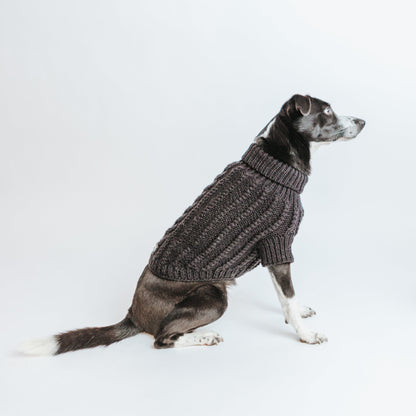 Pet Cable Knit Sweater - Black