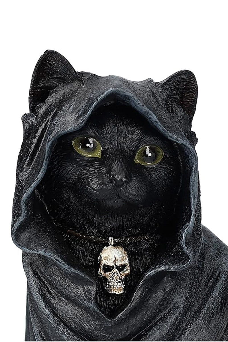 Black Cloak Cat