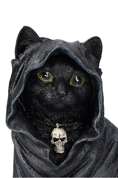 Black Cloak Cat