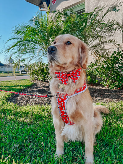 Dog Sailor Bow - Disney's 101 Dalmatians