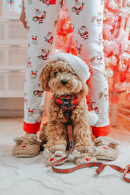 Dog Two Piece Bundle - Deck the Paws