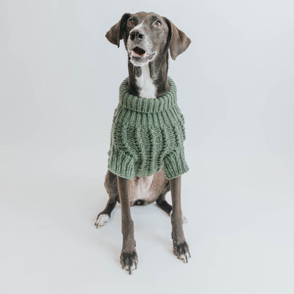 Pet Cable Knit Sweater - Dark Green