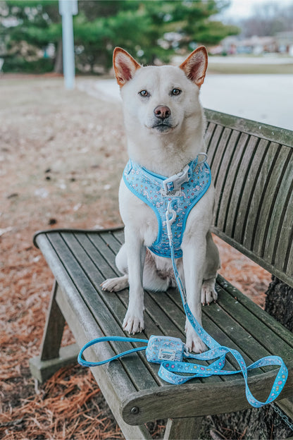 Dog Collar - Cinnamoroll™