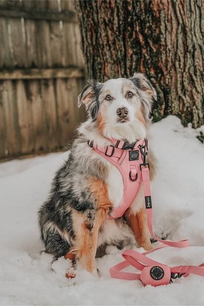 Dog Waste Bag Holder - Dusty Rose