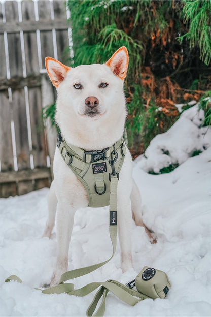 Dog Waste Bag Holder - Matcha