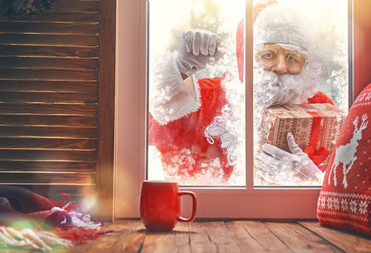 Father Christmas  Out Window Photo Backdrop Shopbackdrop