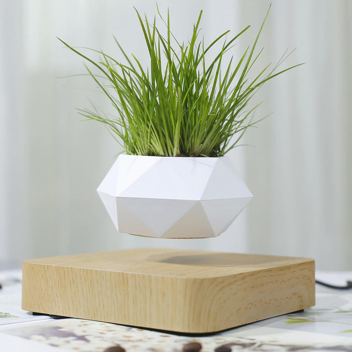 Floating Flower Pot-TopOnlineBargains.Com