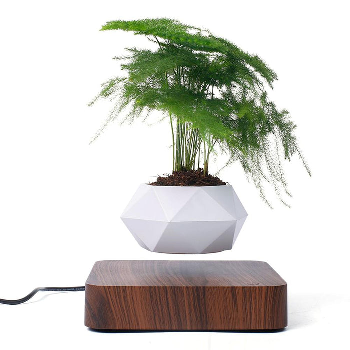 Floating Flower Pot-TopOnlineBargains.Com