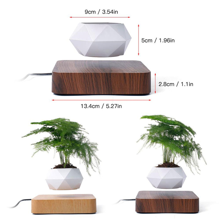 Floating Flower Pot-TopOnlineBargains.Com