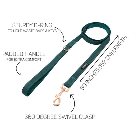 Dog Collar Three Piece Bundle - Forest