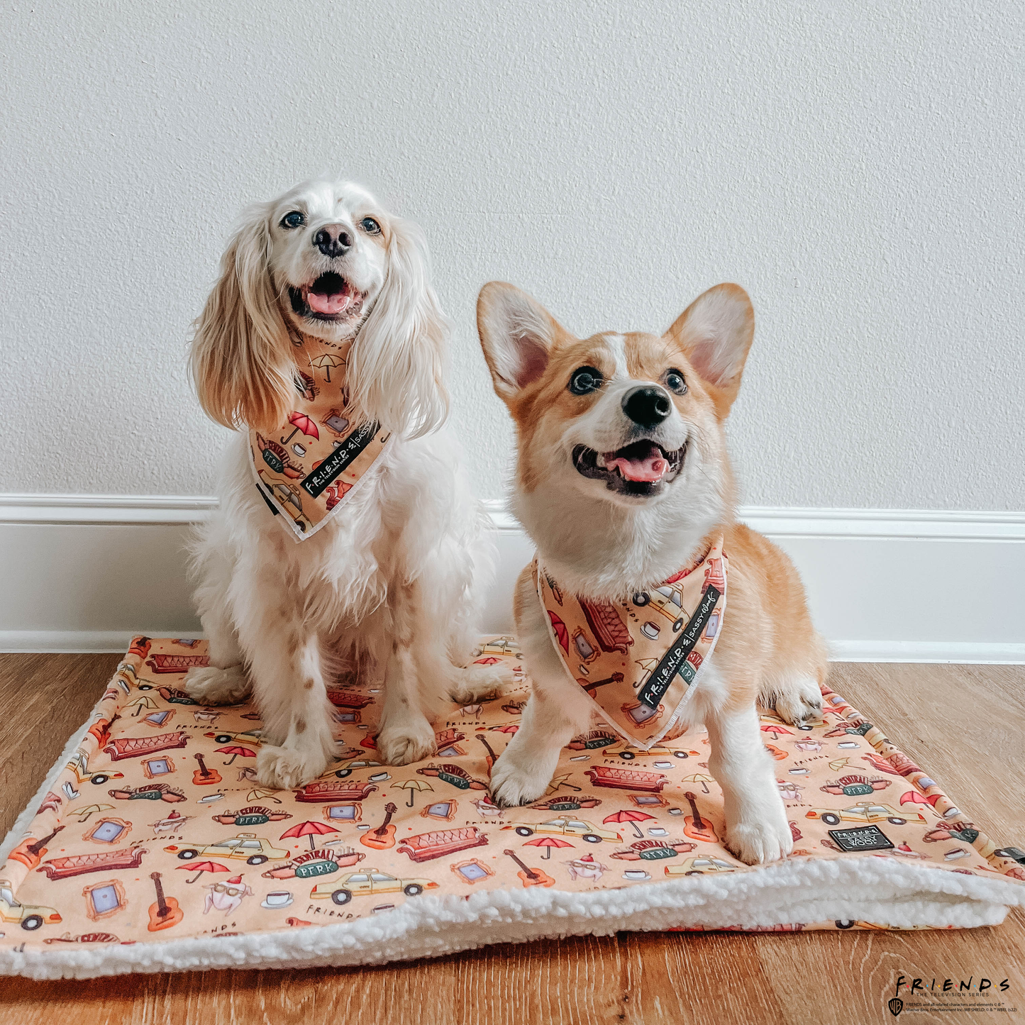Dog Bandana - Friends™ (Yellow)