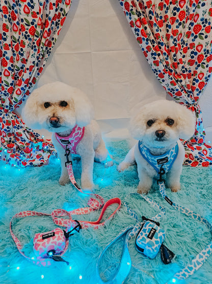 Dog Two Piece Bundle - Blueberry Milk