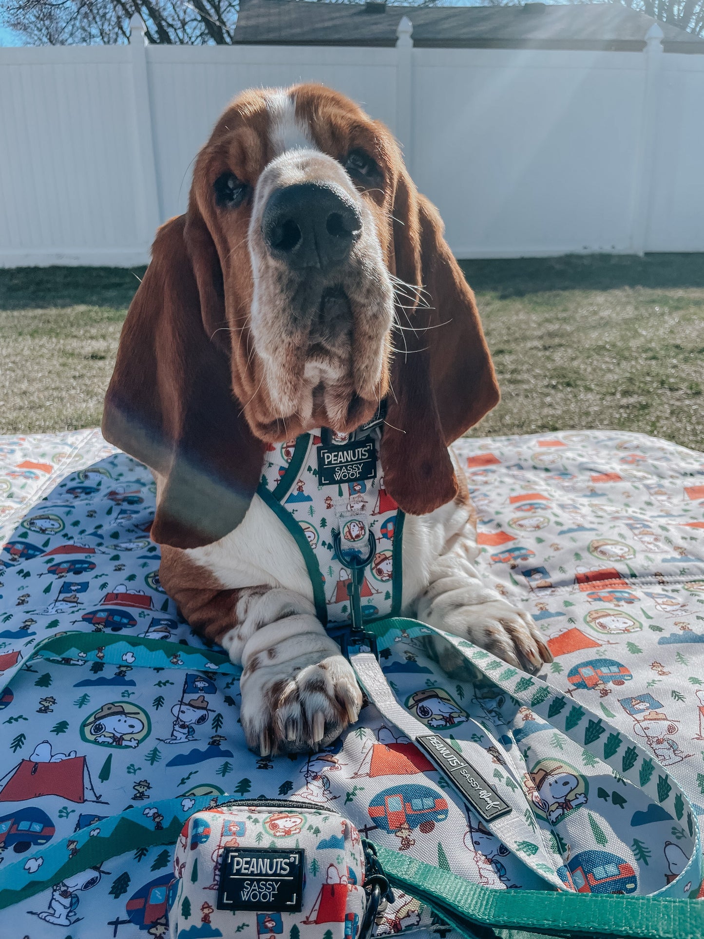 Dog Picnic Blanket - Peanuts™ Beagle Scouts