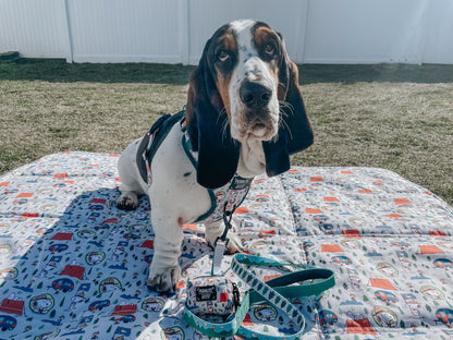 Dog Waste Bag Holder - Peanuts™ Beagle Scouts