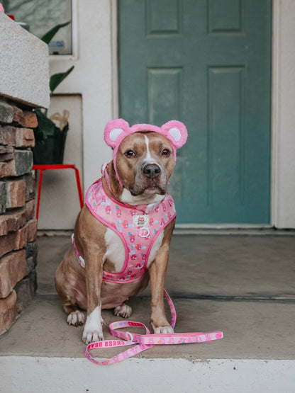 Dog Four Piece Bundle - Care Bears™ Cheer Bear