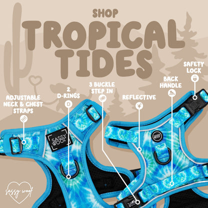 Dog Two Piece Bundle - Tropical Tides