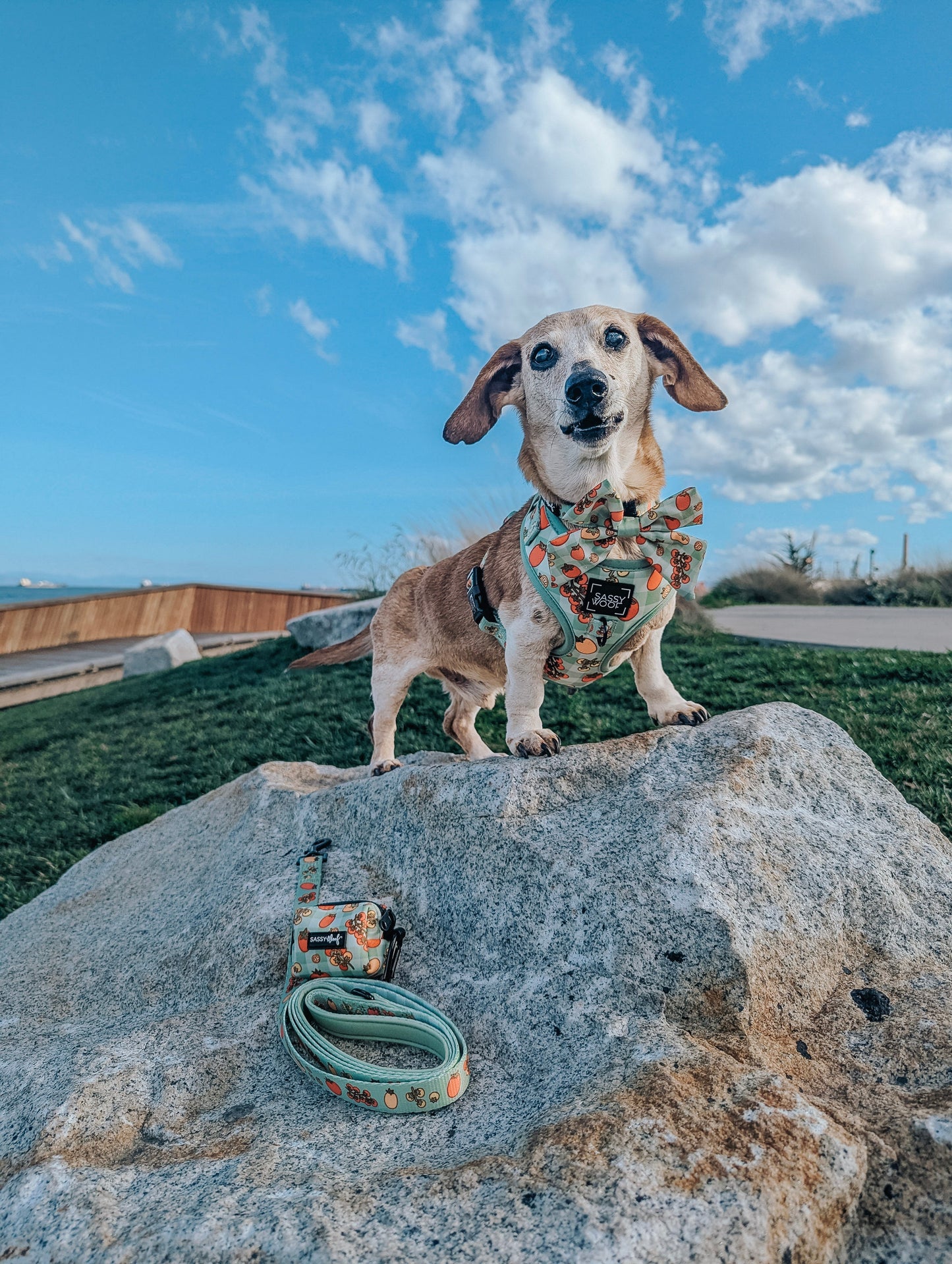 Dog Waste Bag Holder - Feeling Vine
