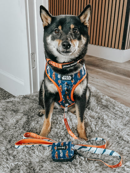 Dog Collar - STAR WARS™ Ahsoka