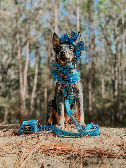 Dog Collar - Hot Wheels™