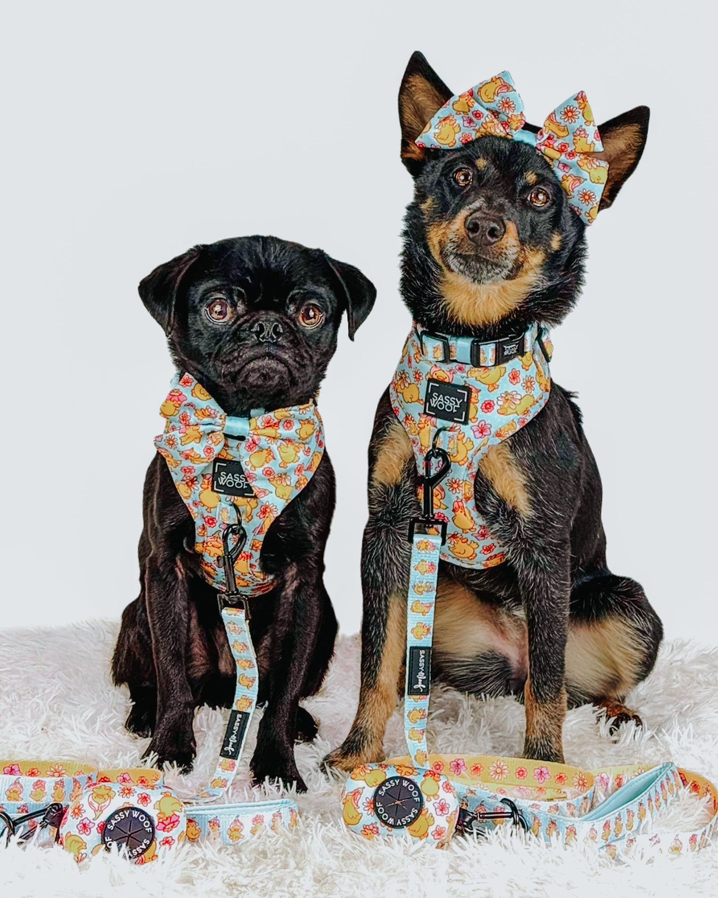 Dog Three Piece Bundle - Good Duck, Babe!