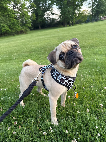Dog Adjustable Harness - Whole Milk