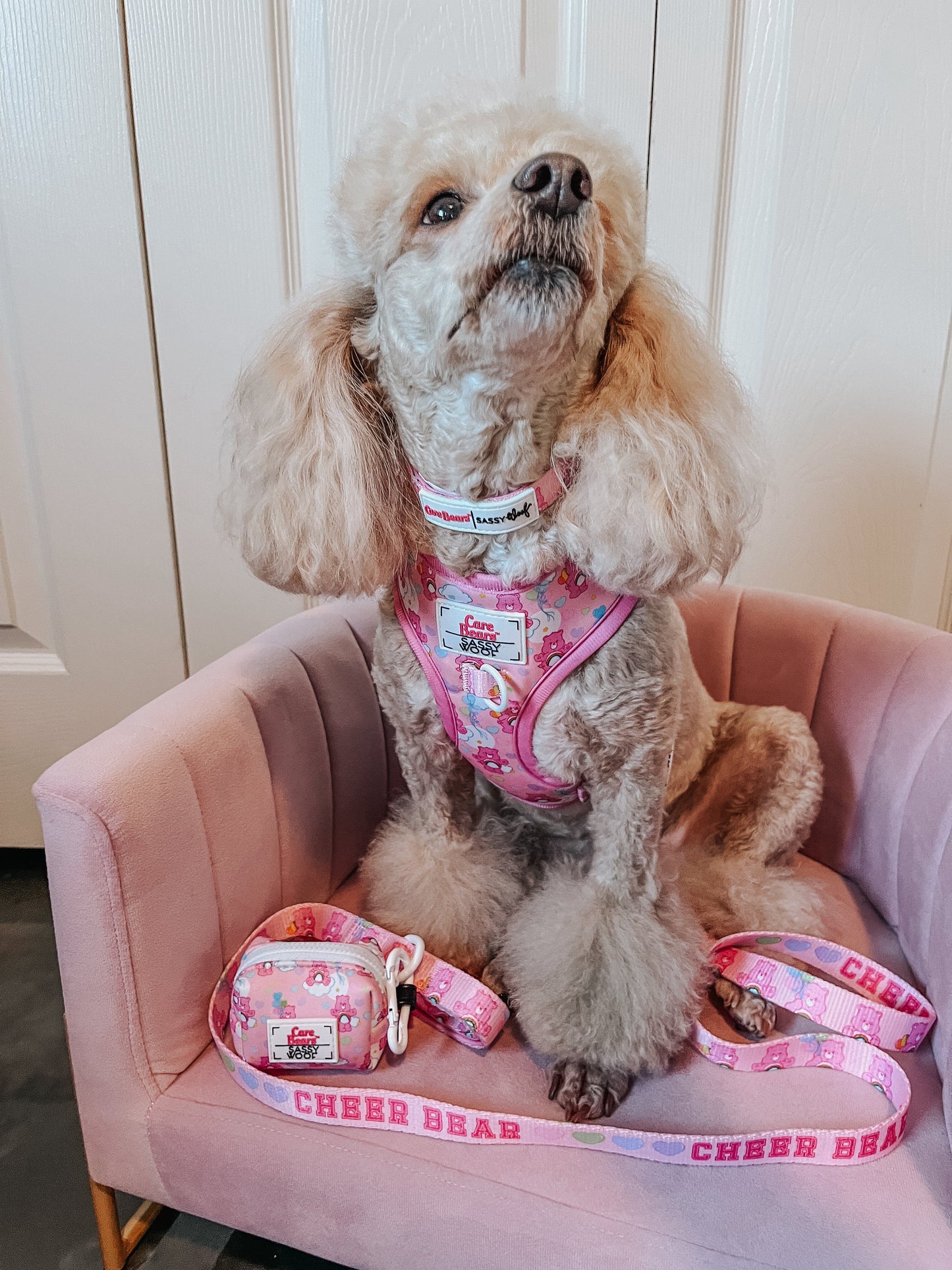 Dog Four Piece Bundle - Care Bears™ Cheer Bear